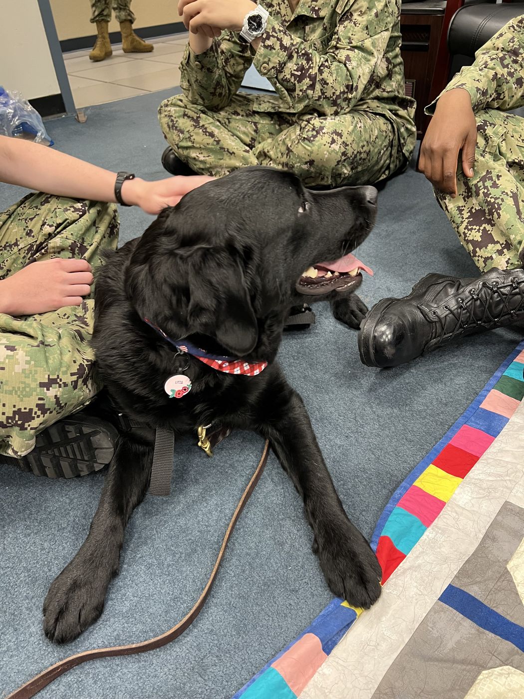 Service members in uniform petting a credentialed black lab therapy dog resting on the floor.