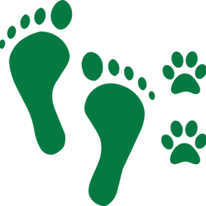 Green human footprints and dog paw prints icon for Windwalker Pet Therapy.