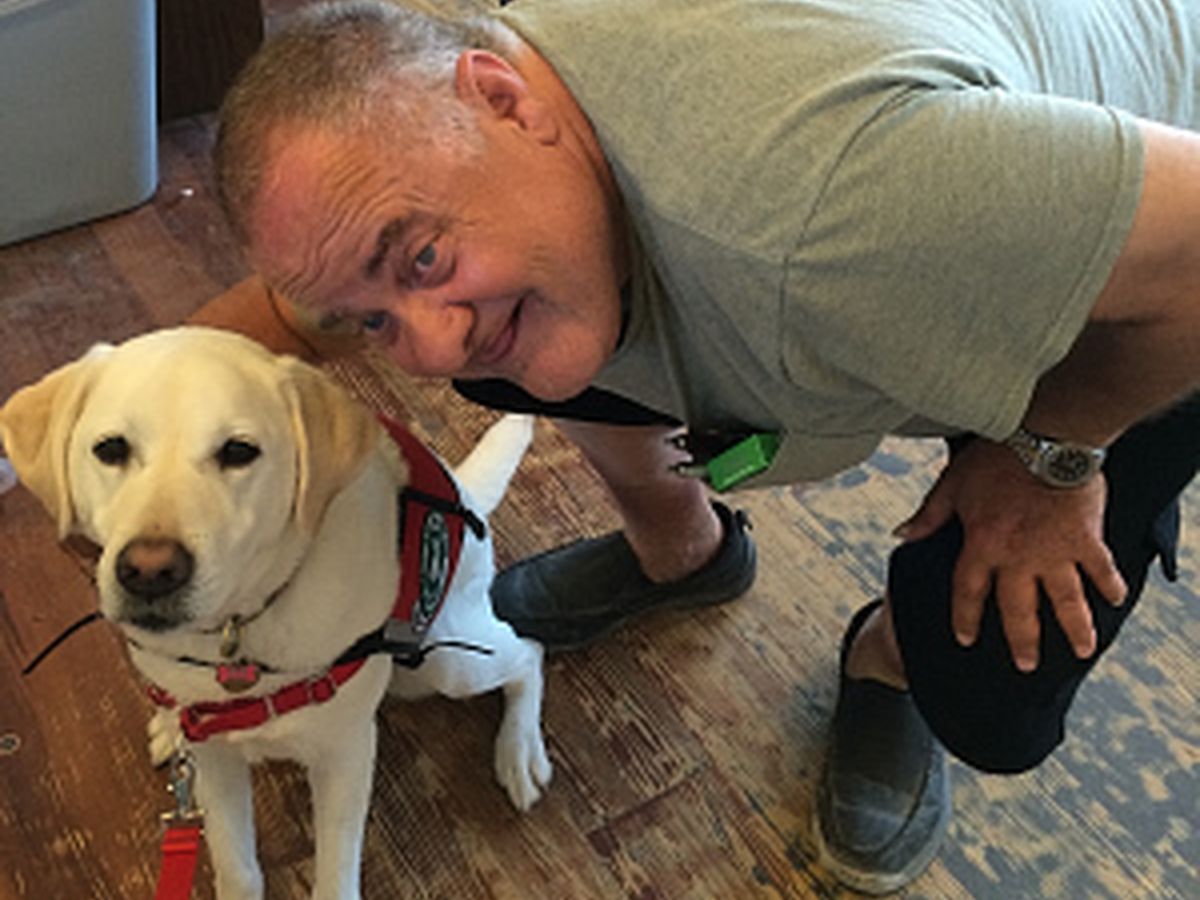 A guardian smiling alongside his credentialed yellow lab therapy dog.