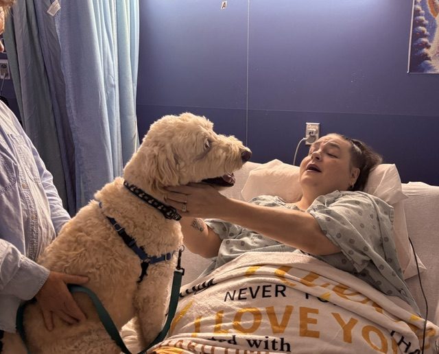 A hospital patient adoring a credentialed therapy dog held by its guardian.